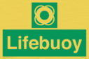 lifebuoy-with-symbol~